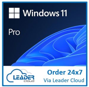 Microsoft FQC-10572, 1 License - Windows 11 Professional ESD, Online Download Only