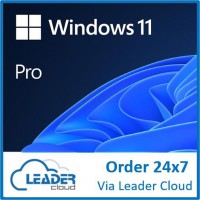 1 License - Windows 11 Professional ESD, Online Download Only
