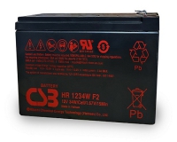 12 Volt 9 Amp Hour Replacement Battery